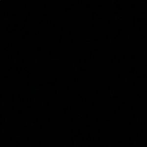 Meet your Posher, Roslyn